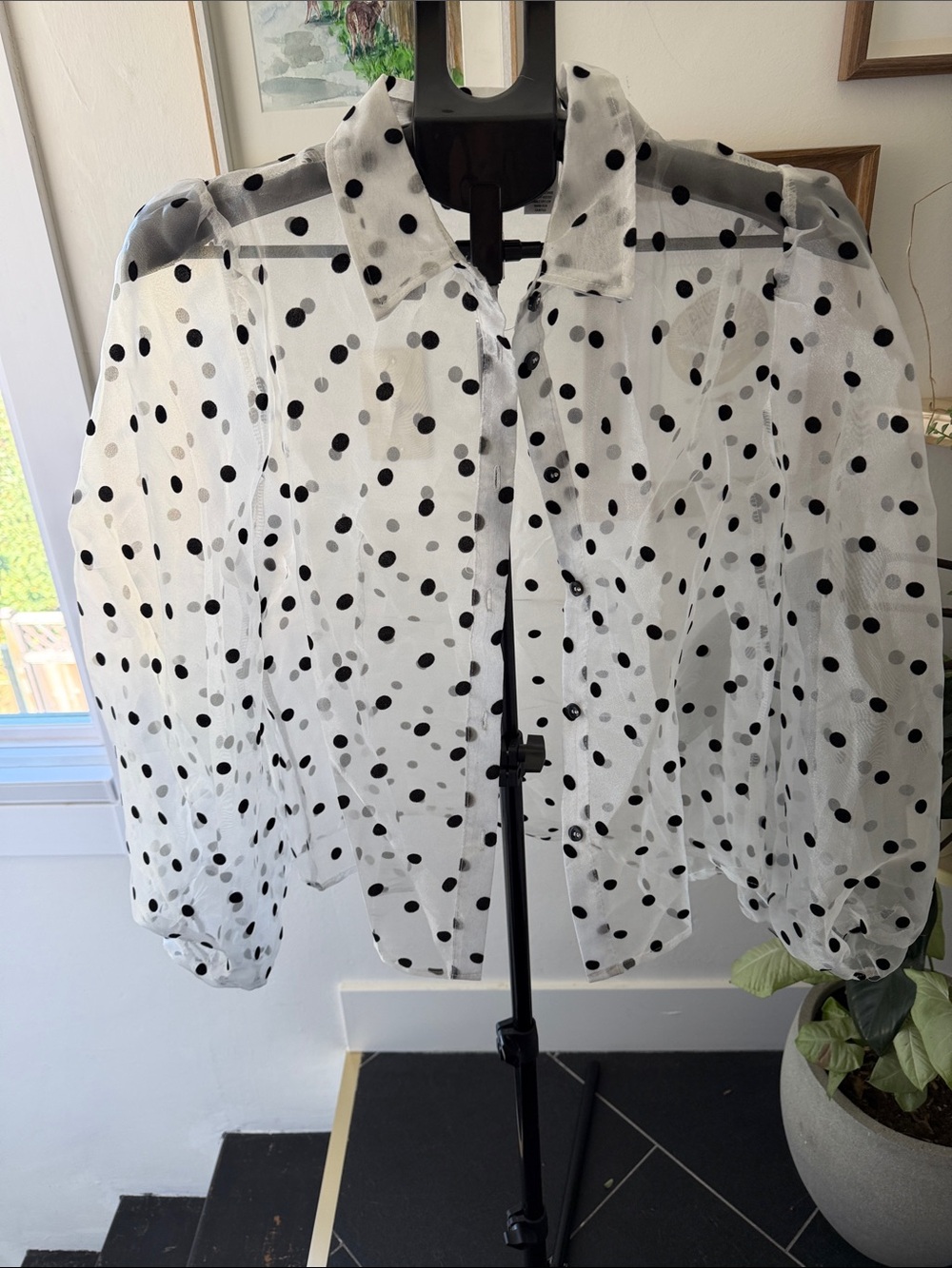 Sheer Polka Dot Button-Up Jacket - White/Black